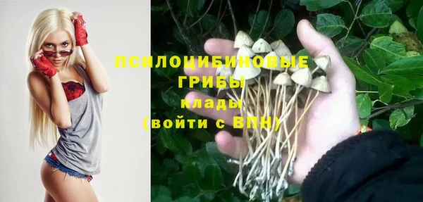 хмурый Балабаново